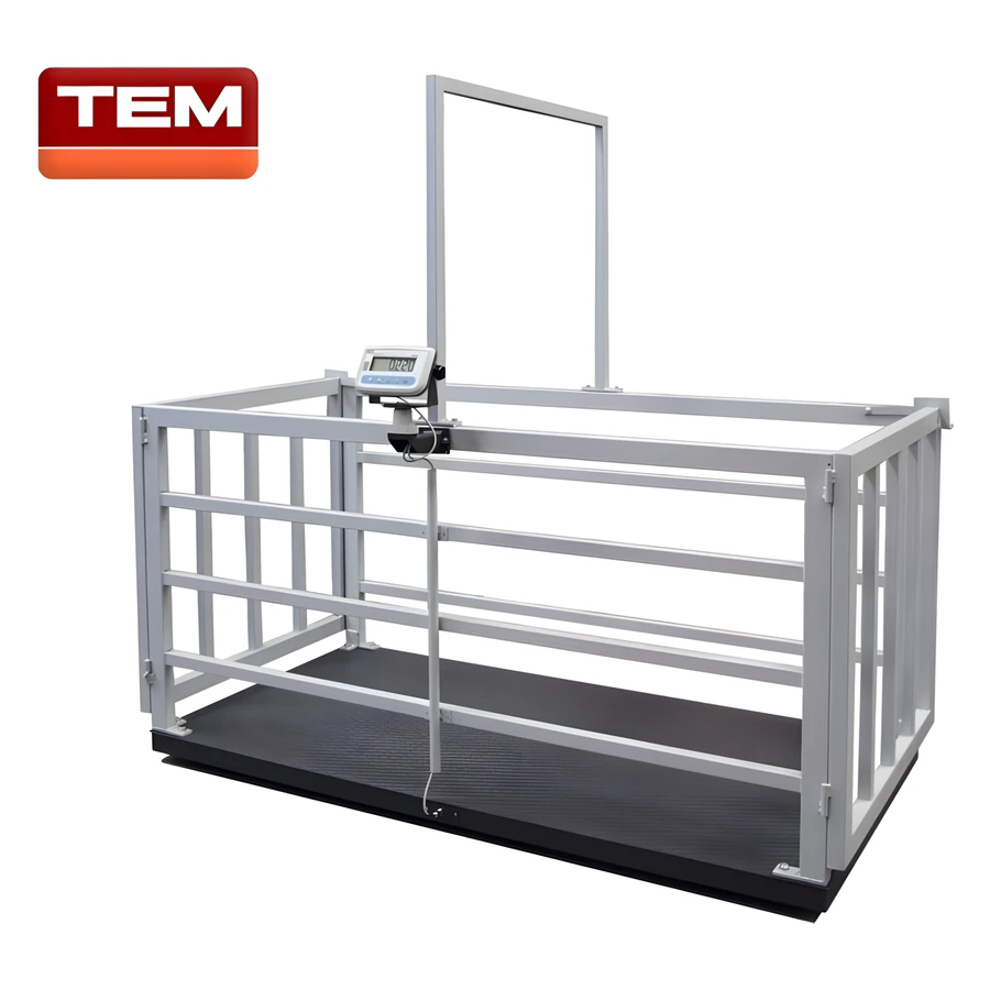 TEM büyükbaş canlı hayvan baskülü, 100x200 cm kafesli platform ve çift taraflı kapı